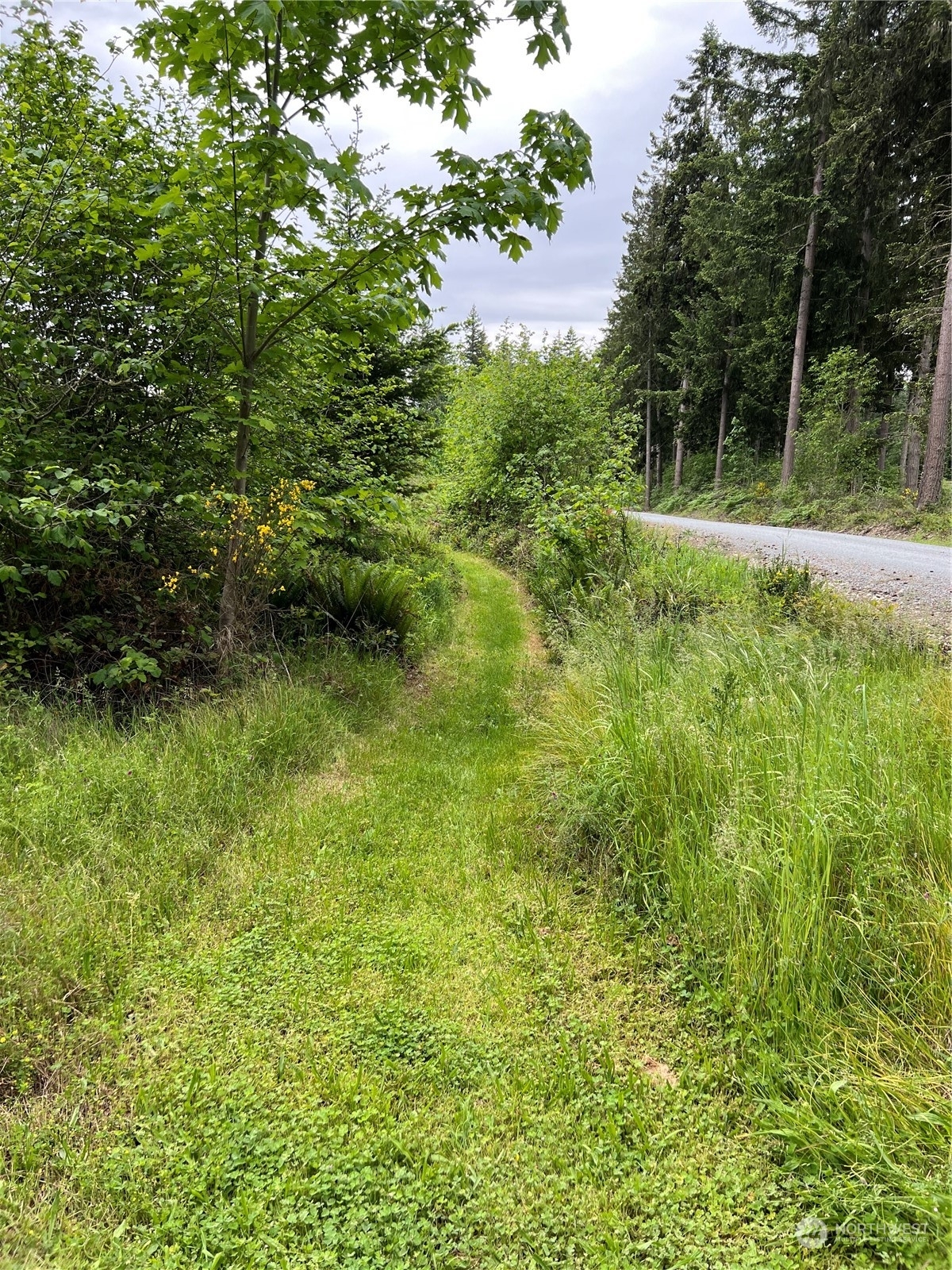 Property Photo:  39507 18th Avenue E  WA 98580 