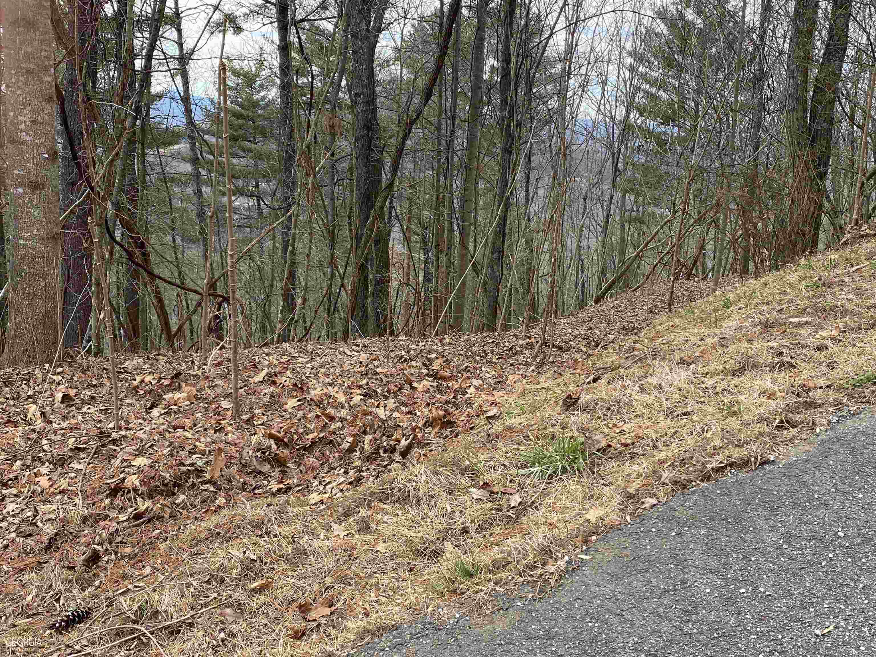 Property Photo:  Lt 58 Mountain Top Road  GA 30512 