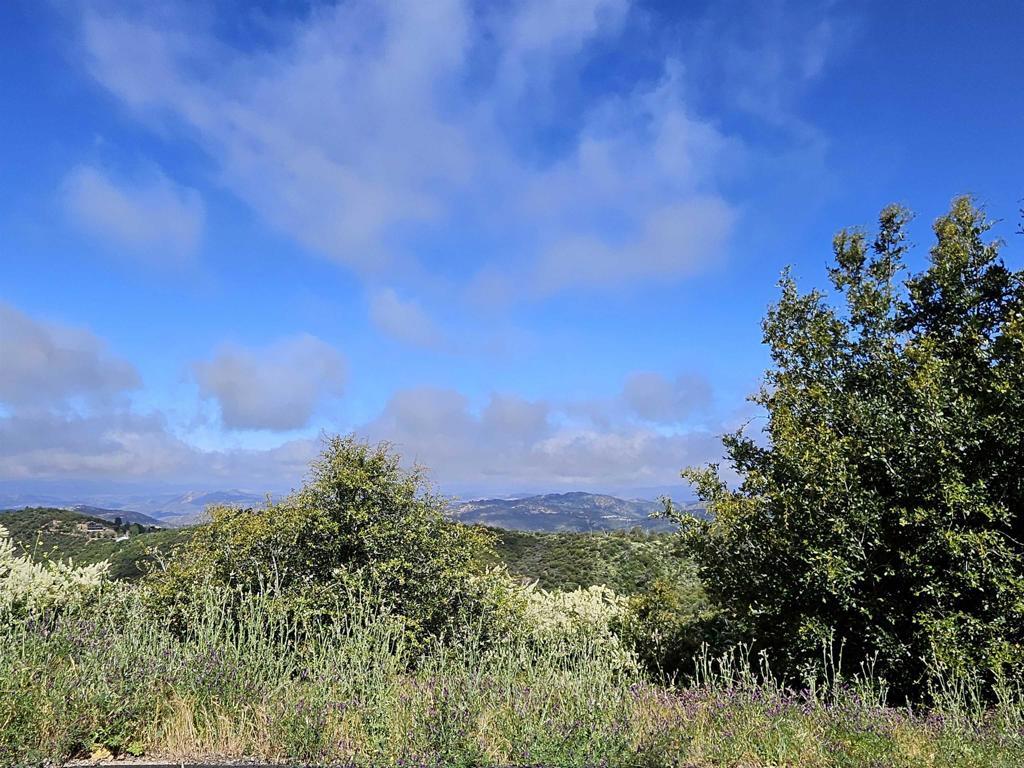 5212 Acorn Patch Road  Julian CA 92036 photo