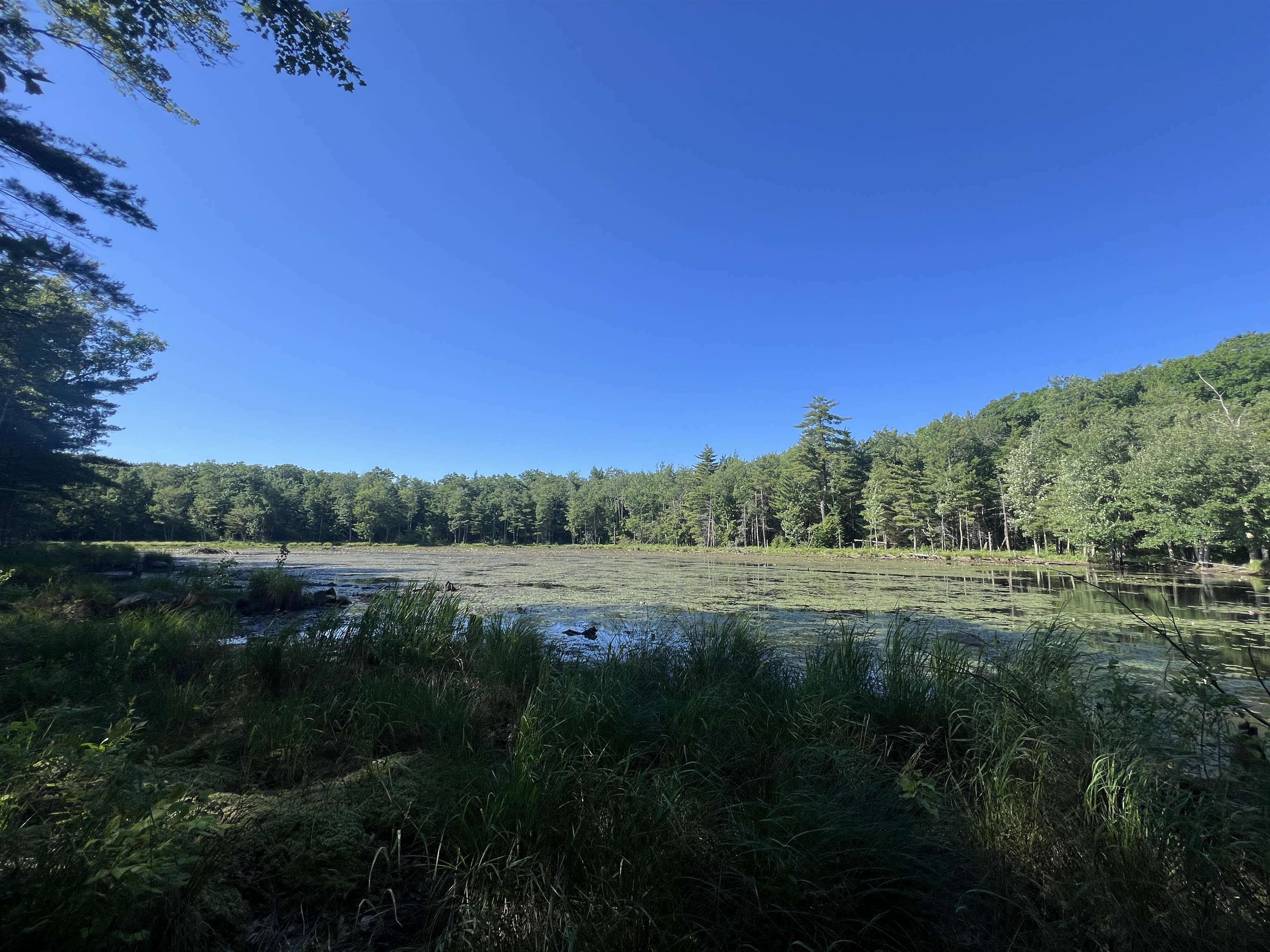 Property Photo:  Map 231 Lot 27-1 Green Street  NH 03261 