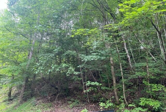 Property Photo:  Lot 20 N Clear Fork Road  TN 37876 