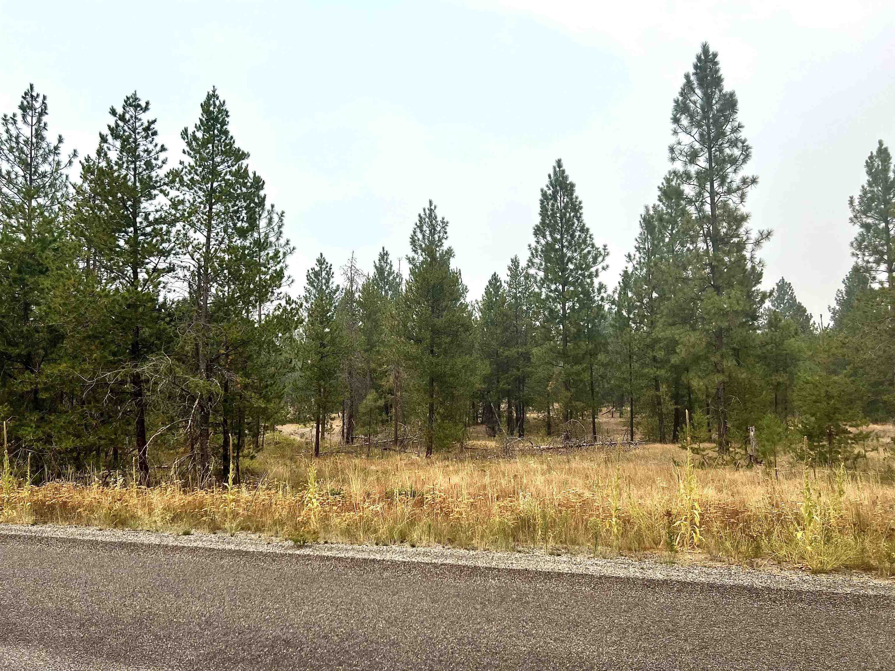 Property Photo:  Nka W Findley Ln Lot 13  WA 99006 