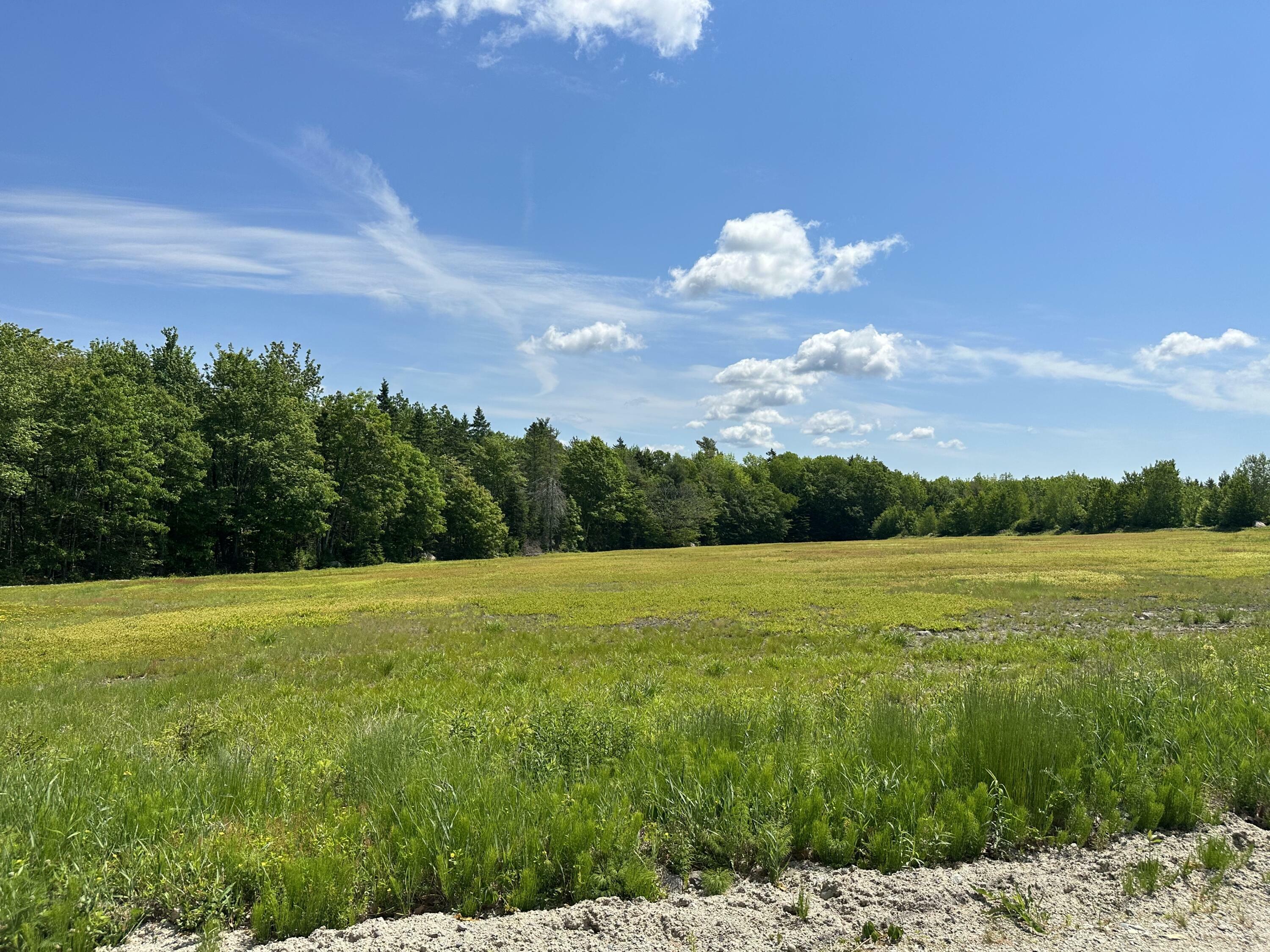 Property Photo:  Map13lot4 Martins Ridge Road  ME 04634 