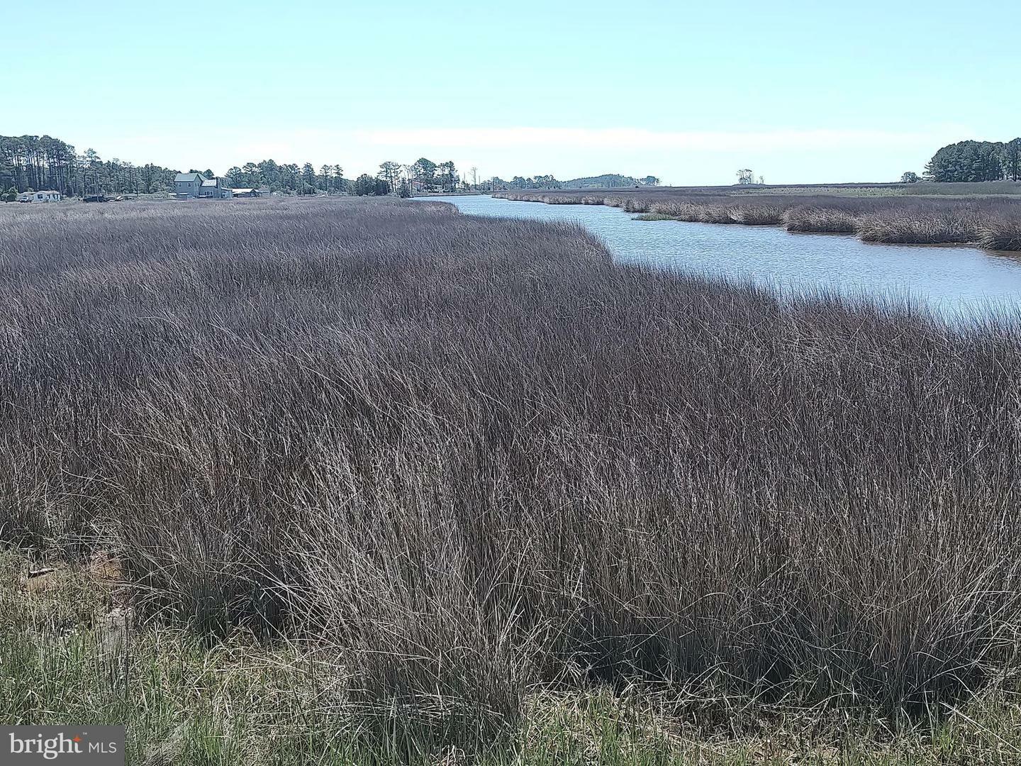 Property Photo:  Waterfowl Hunting - Hoopersville Road  MD 21634 