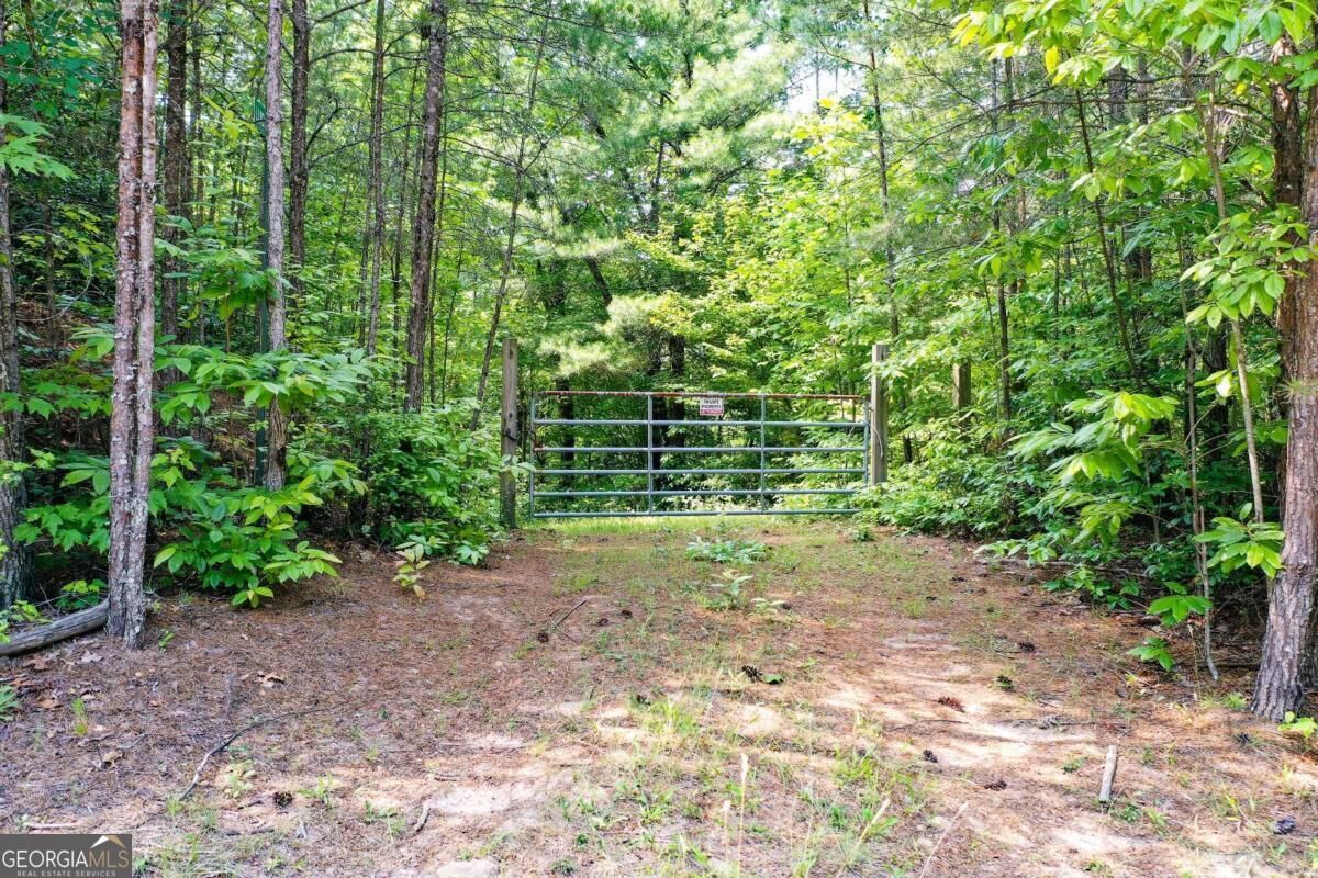 Property Photo: 0 Flagpole Circle GA 30540