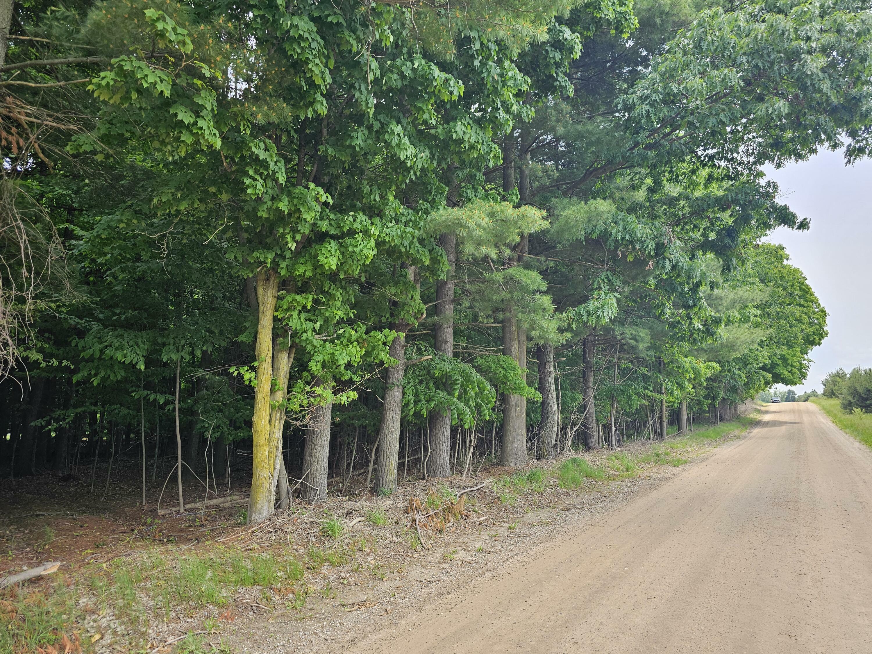 Property Photo:  Lot D Waterwheel Road  MI 48886 