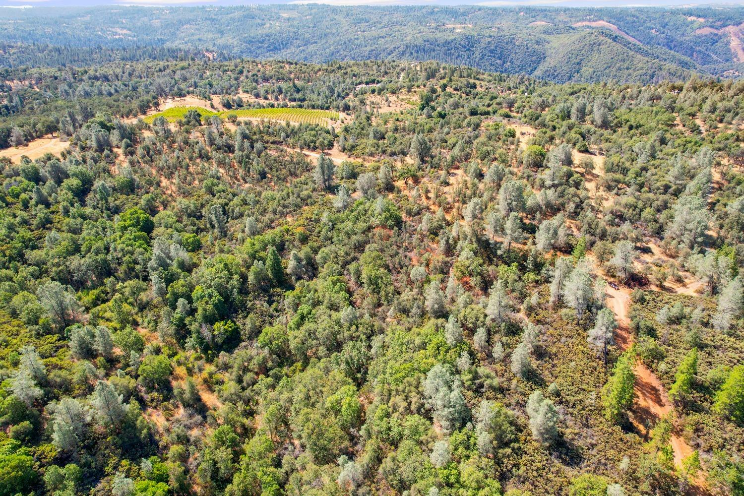 Property Photo:  2101 Trail Gulch Road  CA 95667 