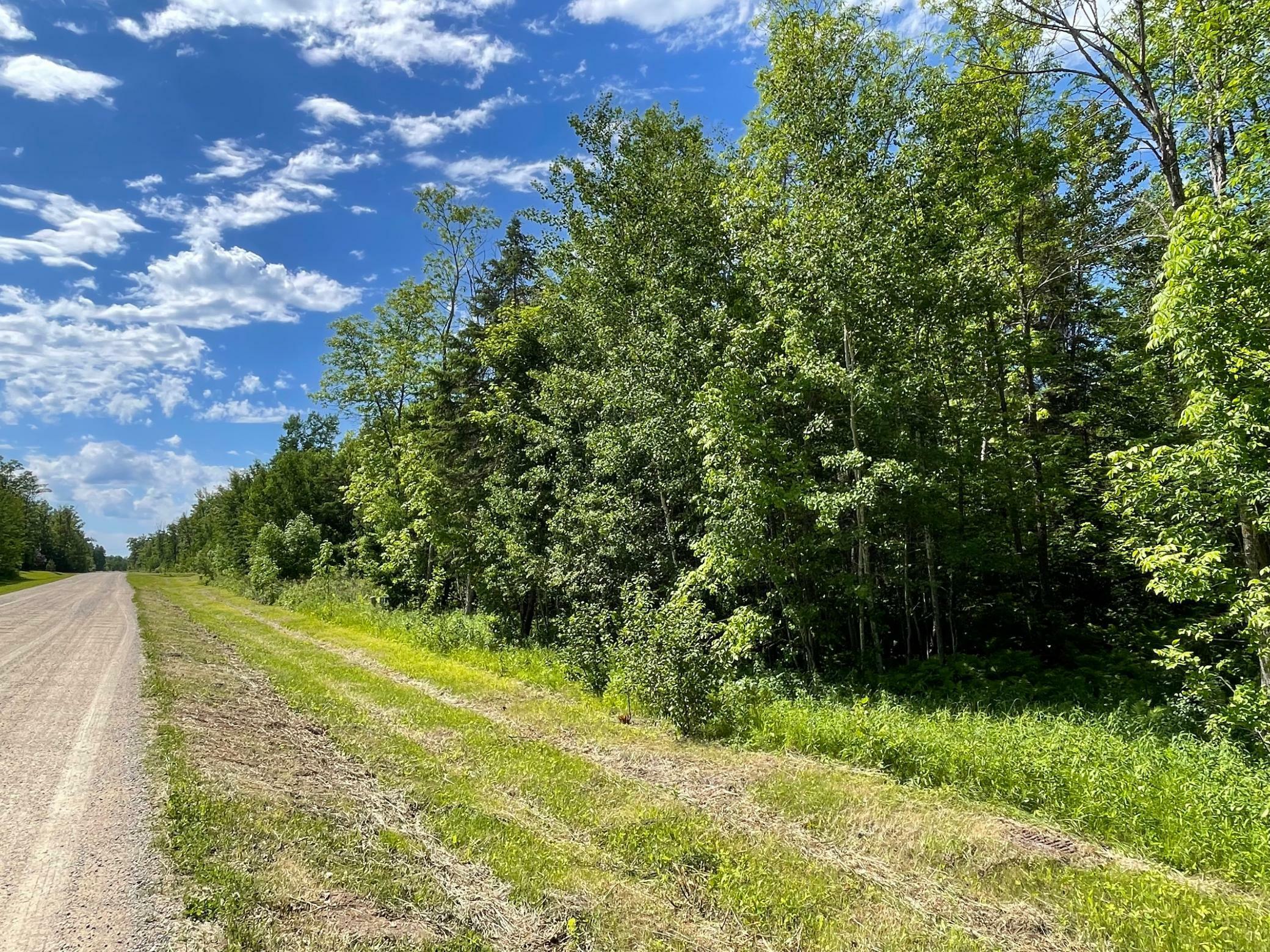 Property Photo:  Tbd Timber Trail Drive  MN 56601 