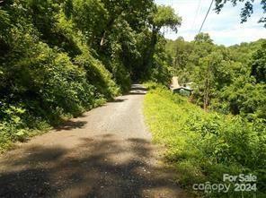 Property Photo:  Lot 30 Coon Creek Road 30  NC 28734 