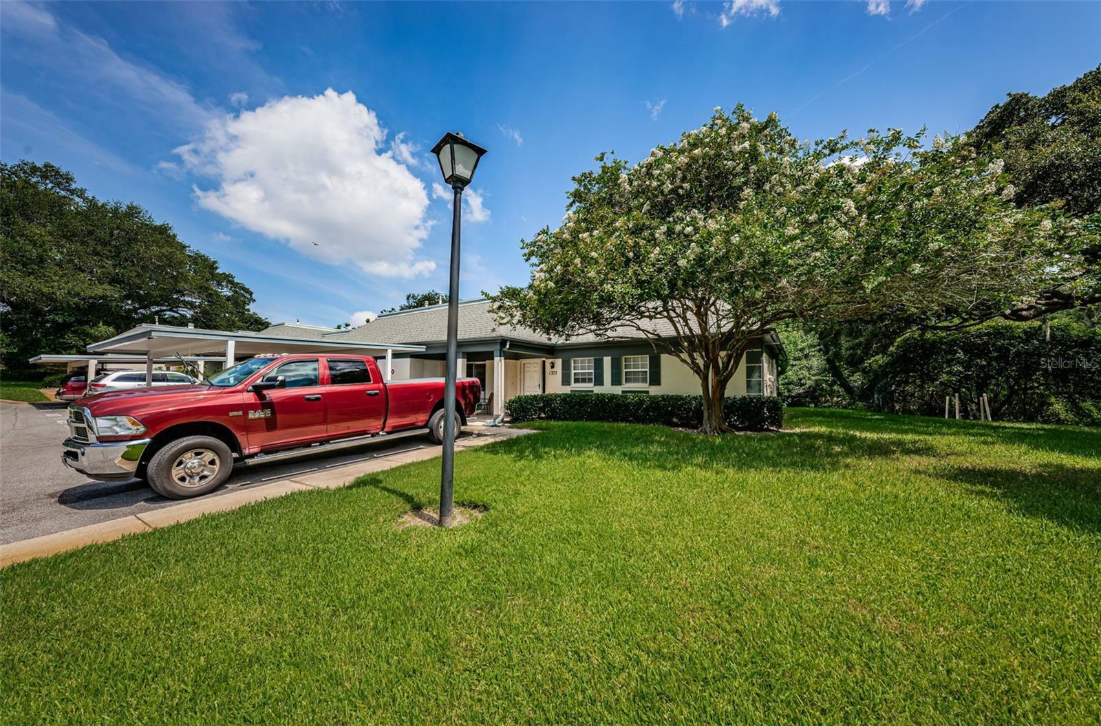 Property Photo:  1377 N McMullen Booth Road 1377  FL 33759 