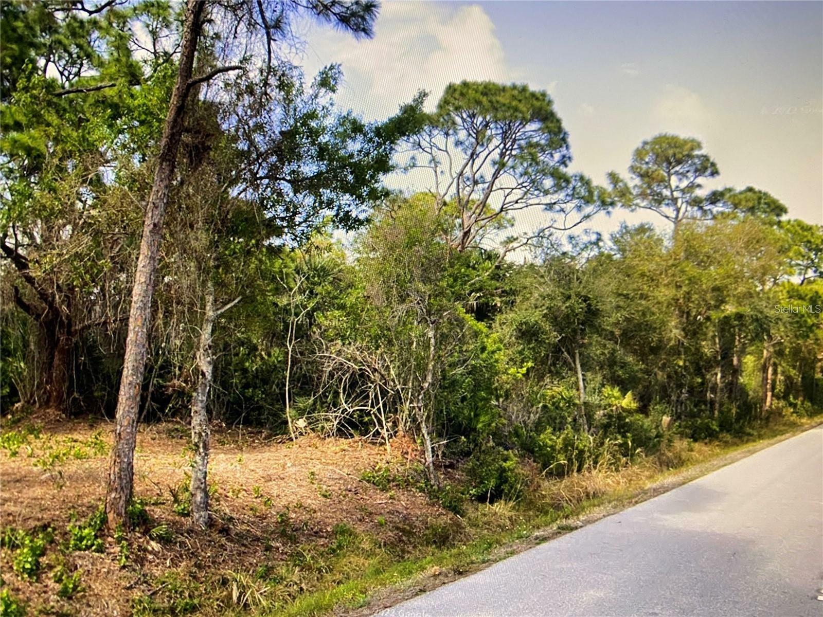 Property Photo:  11241 Pinetrail Road  FL 33955 