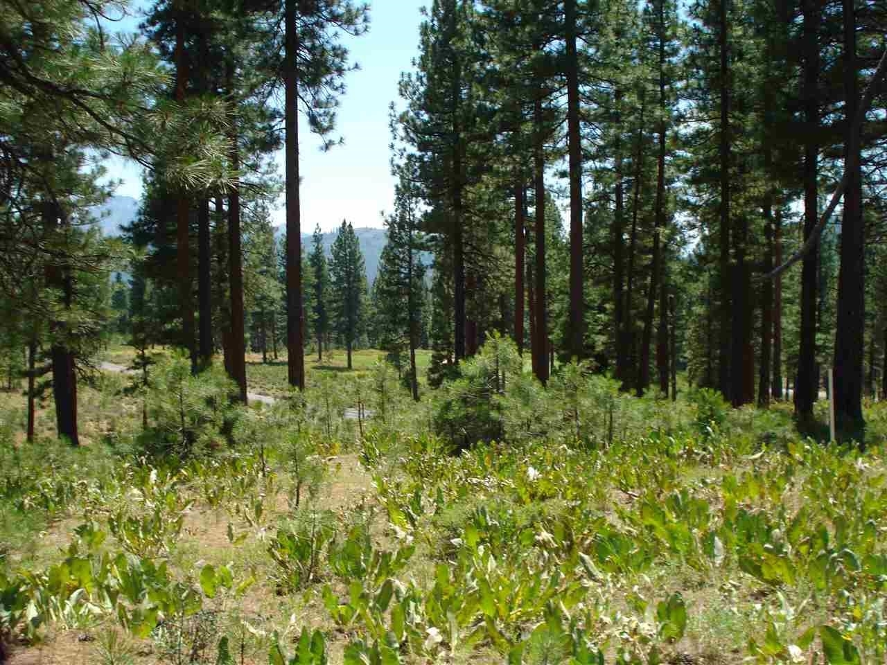 Property Photo:  69 Blacktail Ridge  CA 96122 