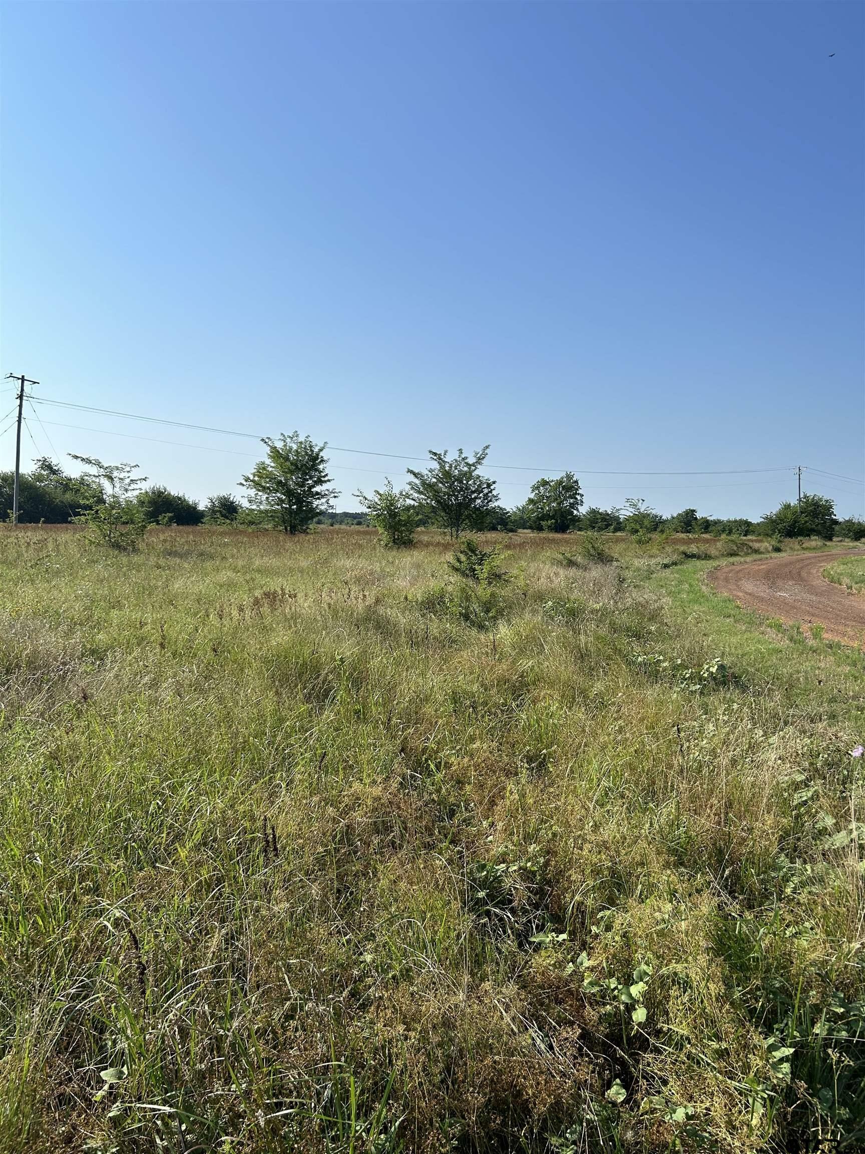 Property Photo:  Tbd Texas Hwy 71  TX 75487 