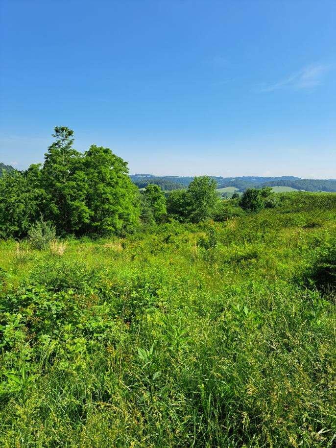 Lot 24 Fountain Springs Dr  Peterstown WV 24963 photo