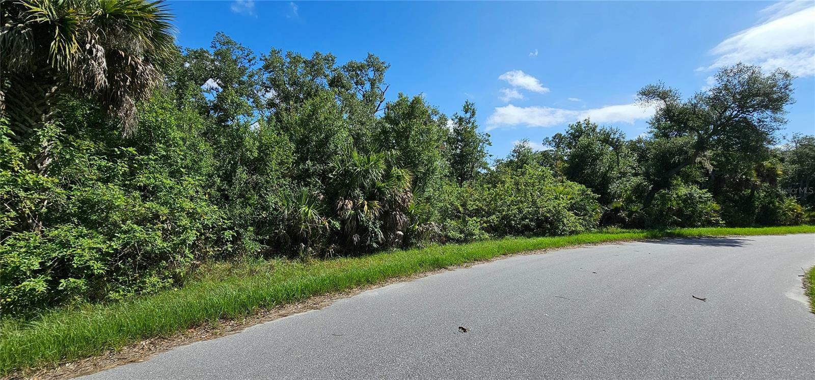 Property Photo:  15090 Walker Terrace  FL 33953 