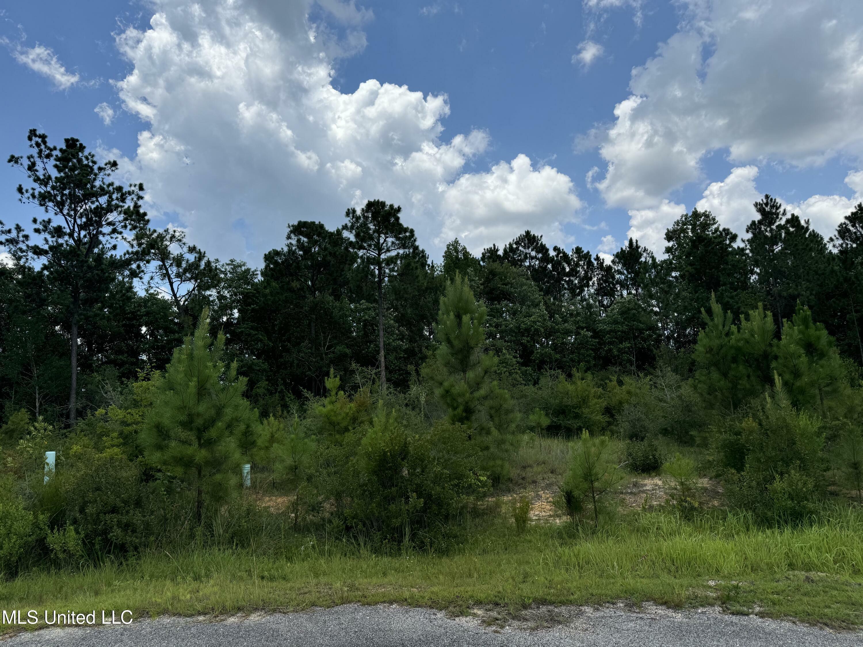 Property Photo:  Longwood Lane  MS 39503 