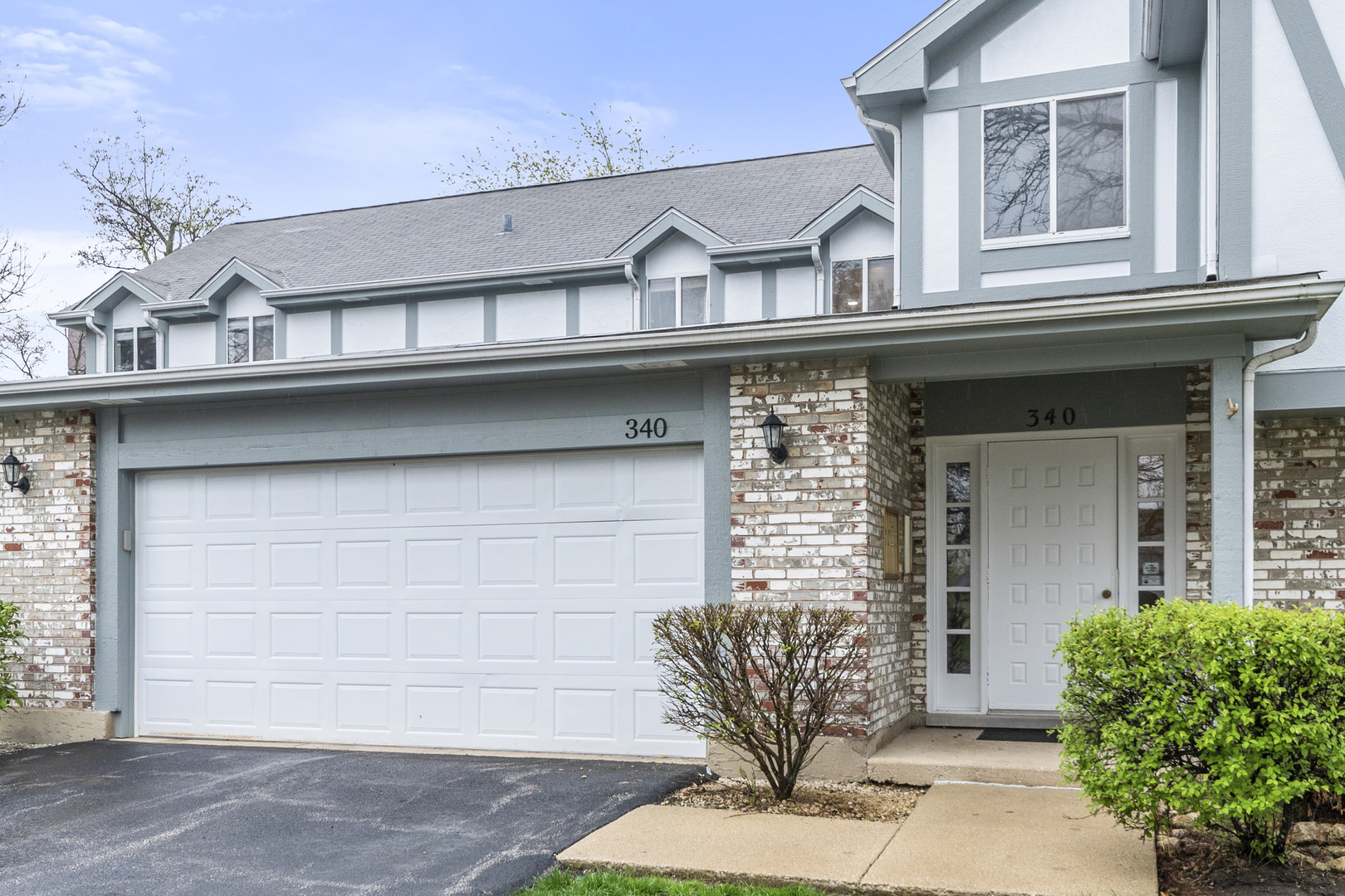 Property Photo:  340 Springlake Lane D  IL 60504 