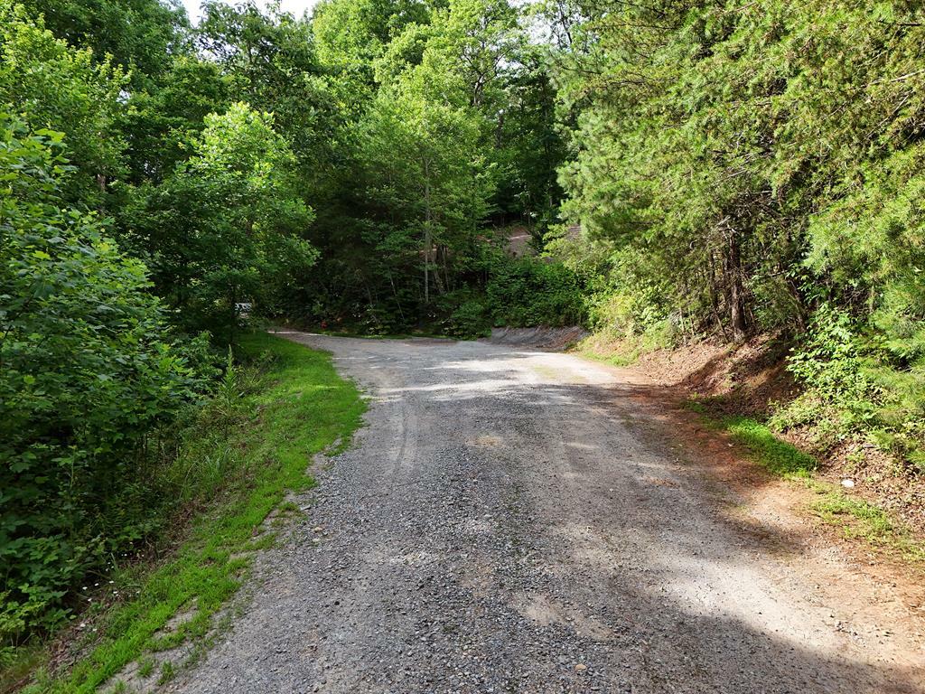 Lot 25 Toccoa Preserve Court  Blue Ridge GA 30513 photo