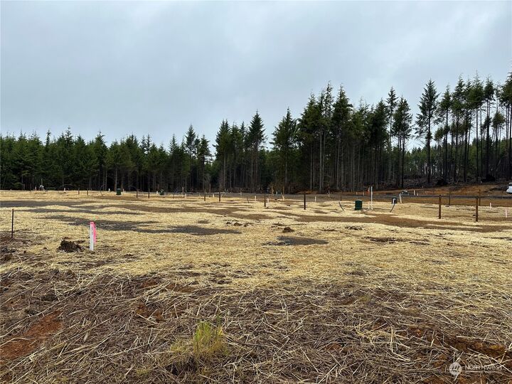 92 Bungalow Loop  Pacific Beach WA 98571 photo