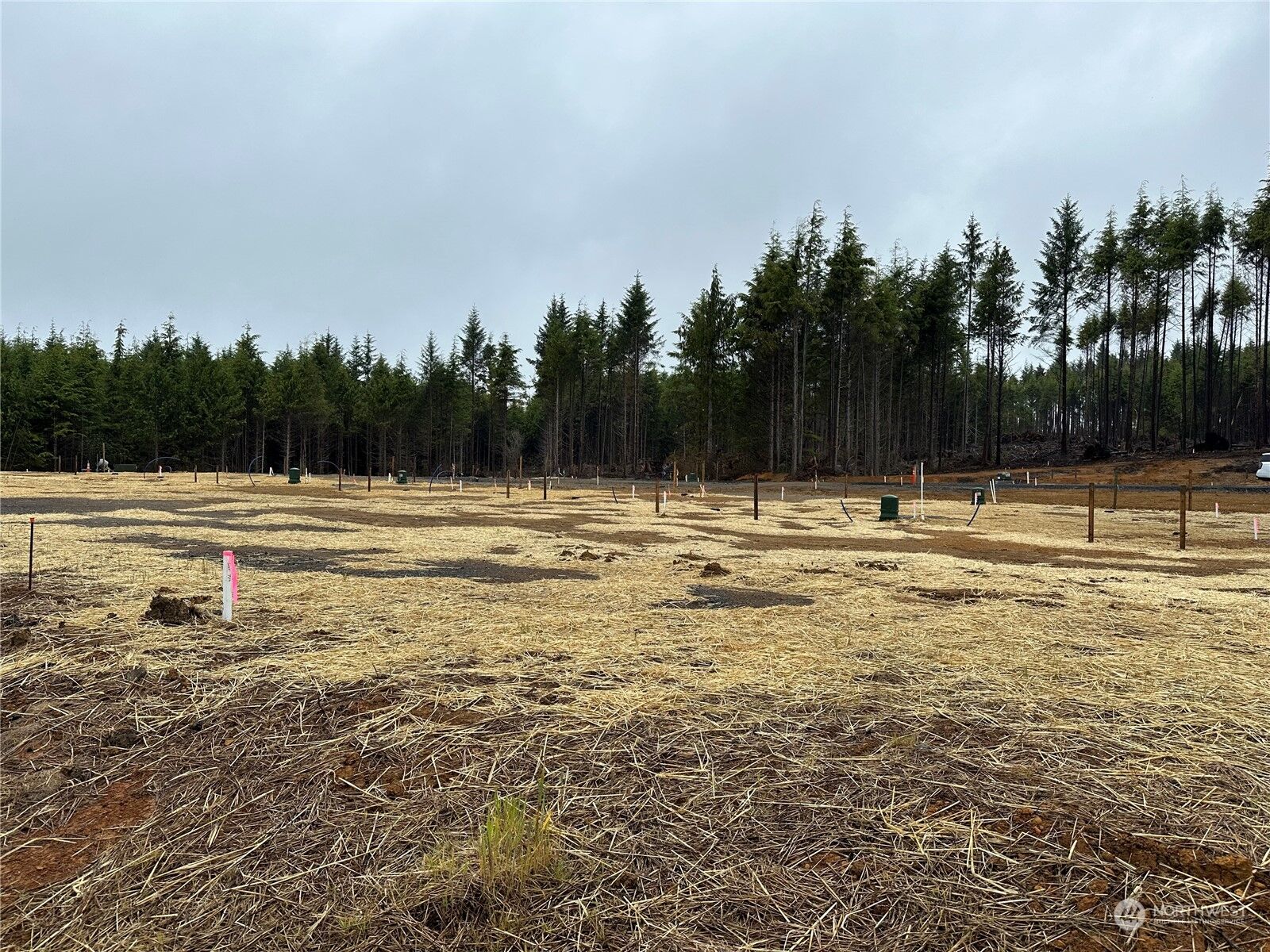 Property Photo:  92 Bungalow Loop  WA 98571 