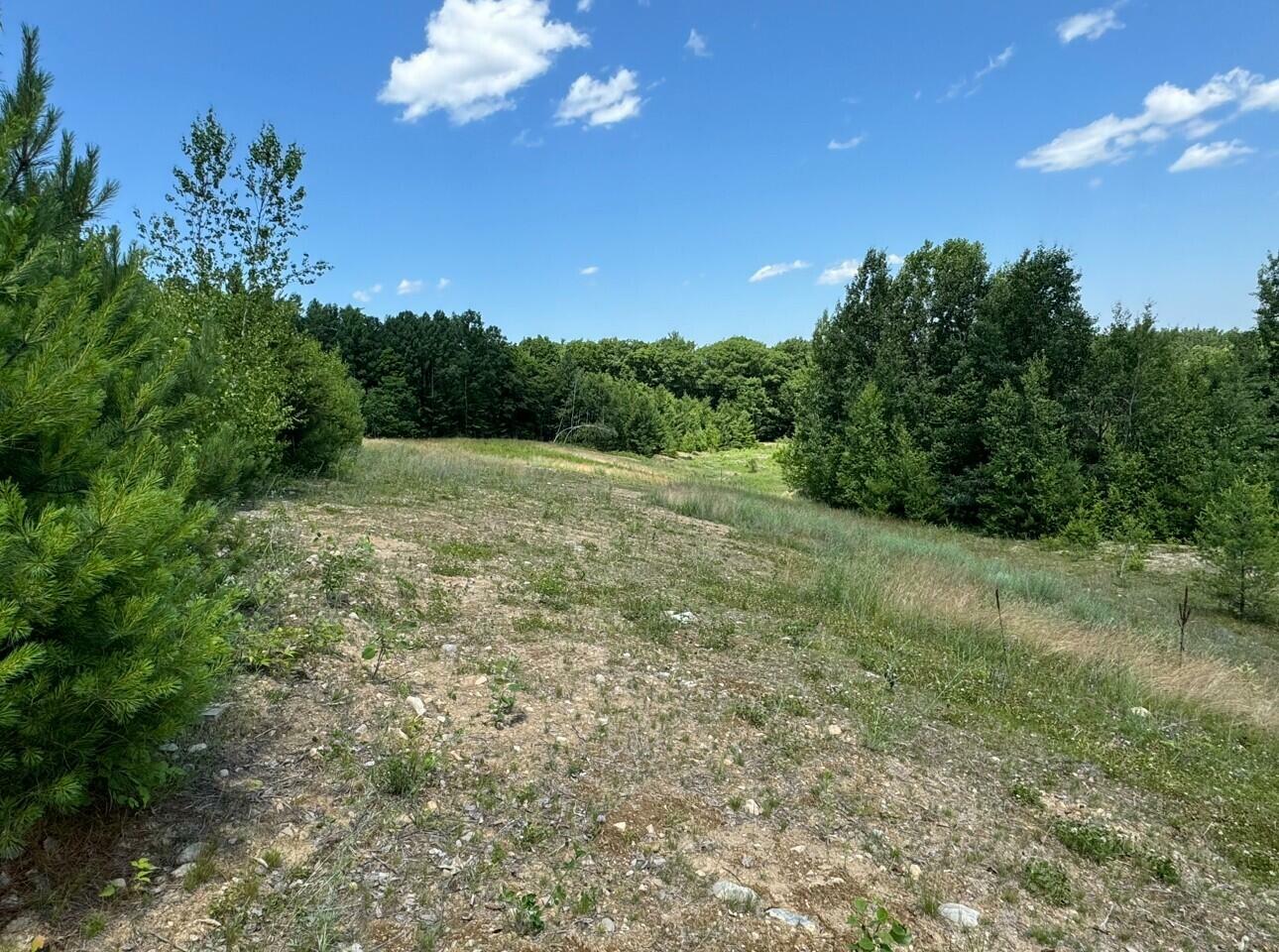 Property Photo: 0 Flat Rock Road NY 12962