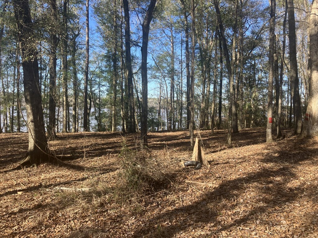 Property Photo:  Lot 23 Arrowhead Ln  GA 39851 