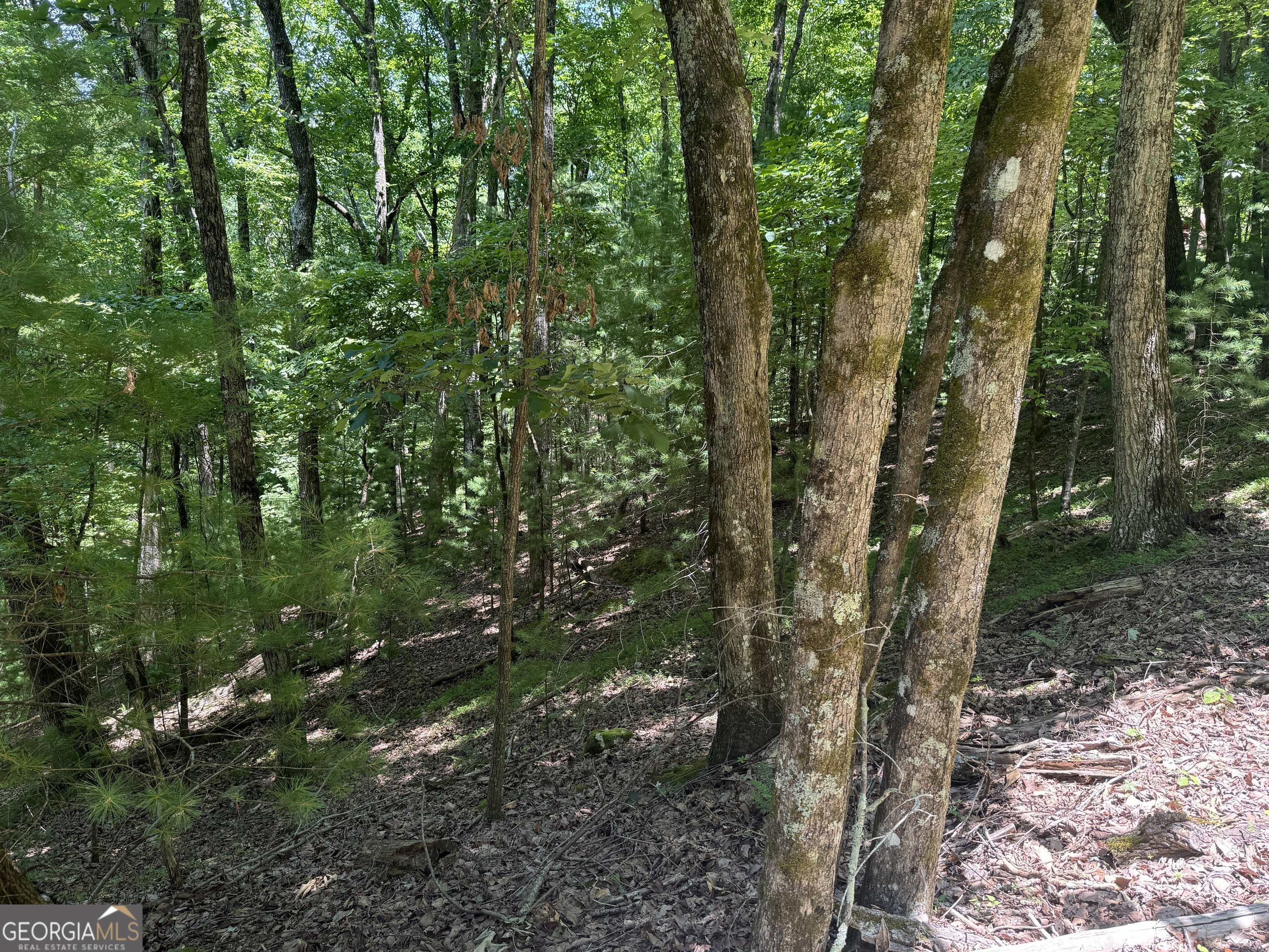 Property Photo:  0 Walnut Mountain Road  GA 30536 