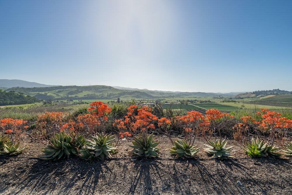 Property Photo:  5181 Southside Road  CA 95023 