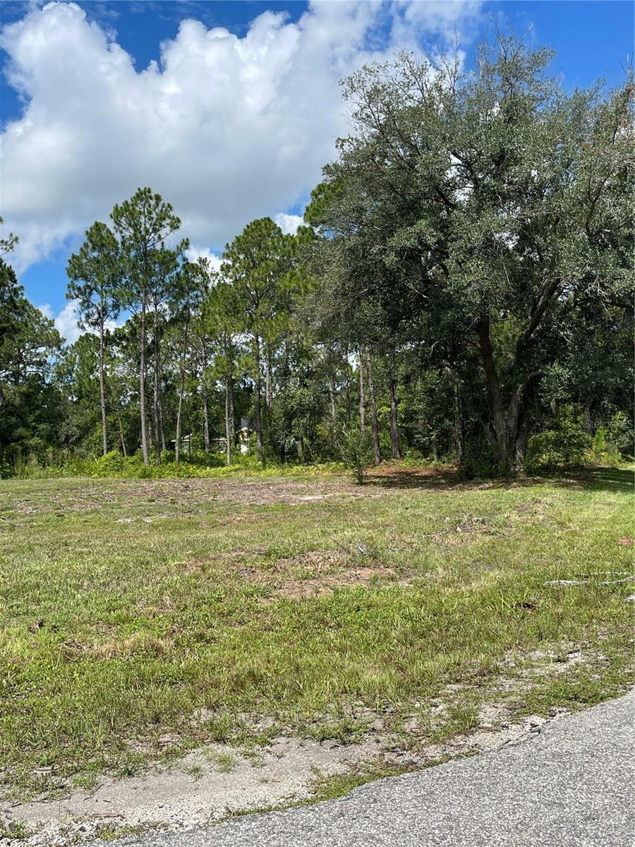 Property Photo:  5225 Trevino Avenue  FL 33872 