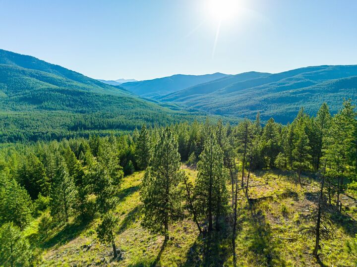 Property Photo: 467 Wolf Creek Road MT 59923