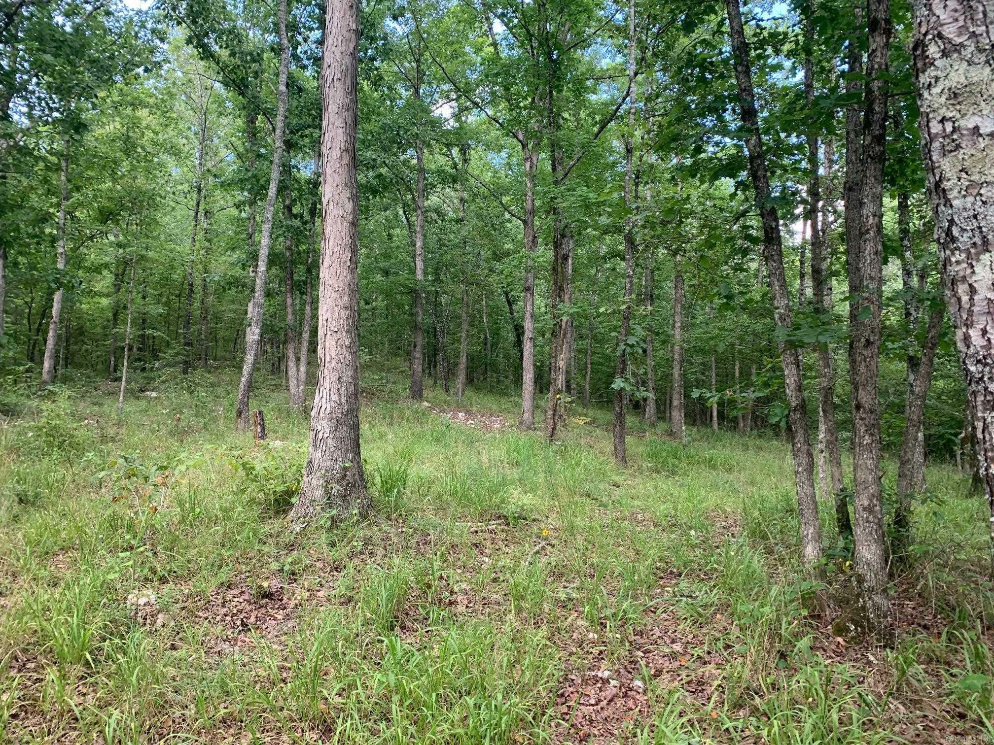 Property Photo:  000 Lake Norrell Road  AR 72002 