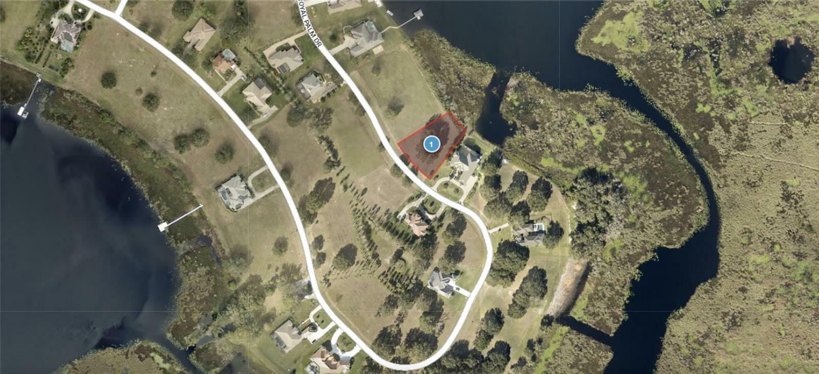 Property Photo:  Lot 39 Royal Palm Drive  FL 34736 