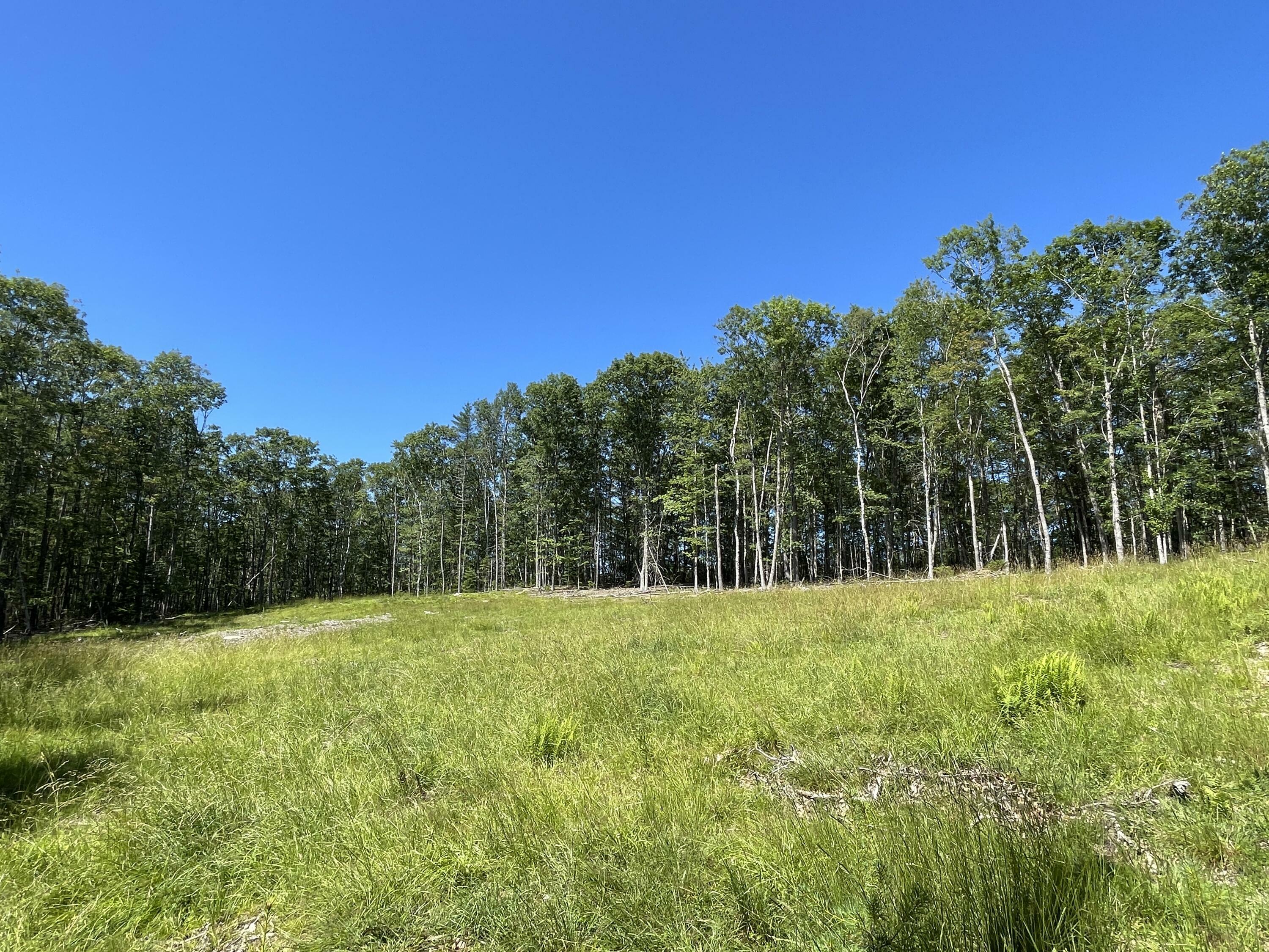 Property Photo:  Lot 64 Moose Walk  ME 04578 