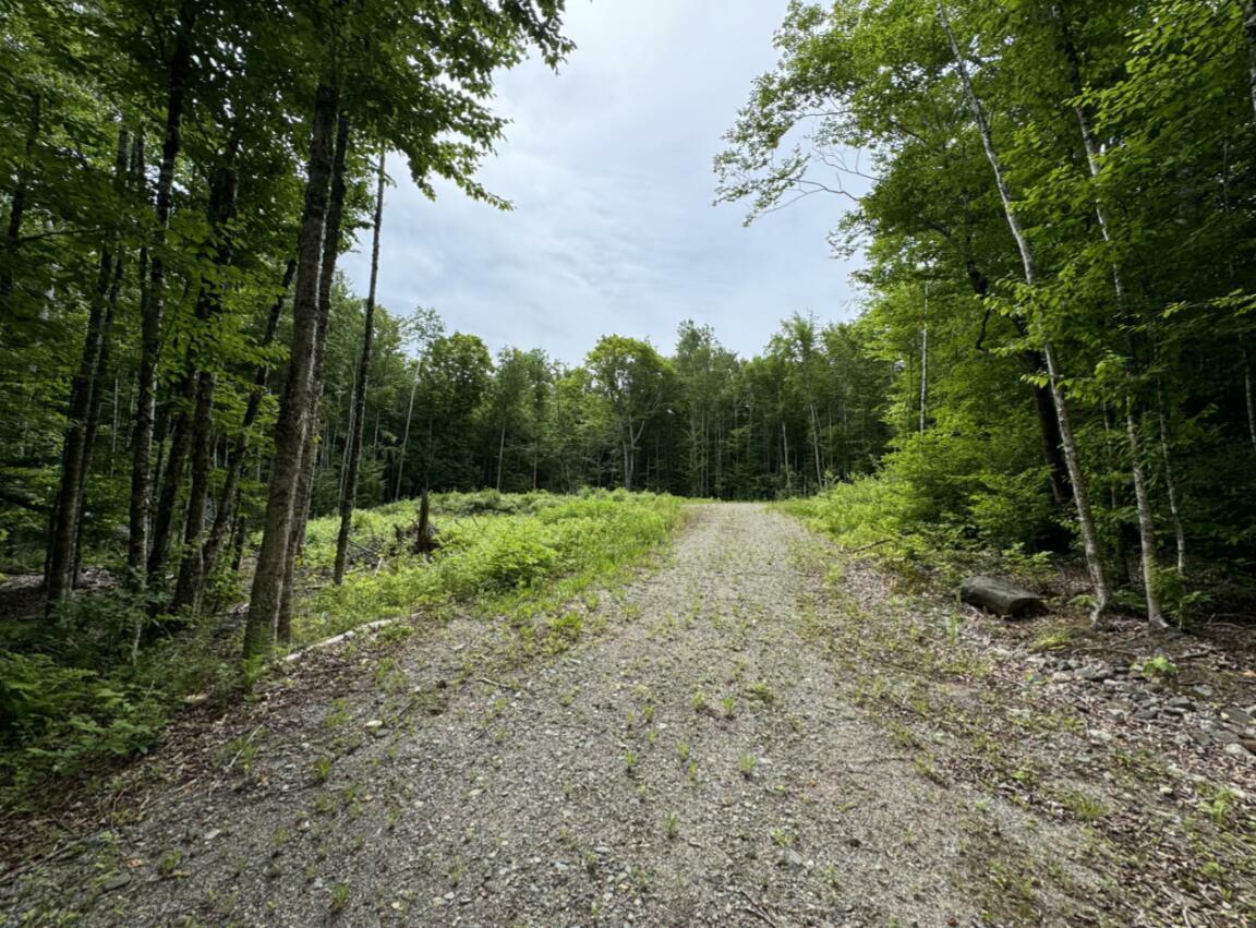 Property Photo:  Lot Wa-9 Smith Cove Road  ME 04628 