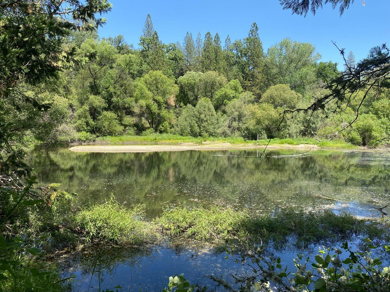 Property Photo:  11 Spanish Creek Road  CA 95684 