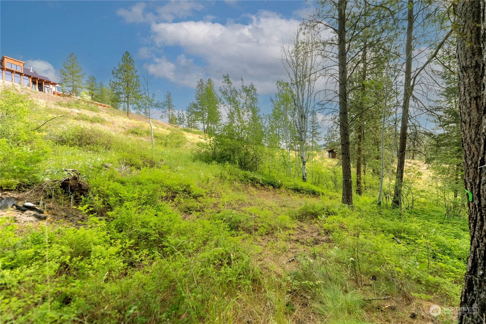 Property Photo:  57 Sugar Pine Road  WA 98862 