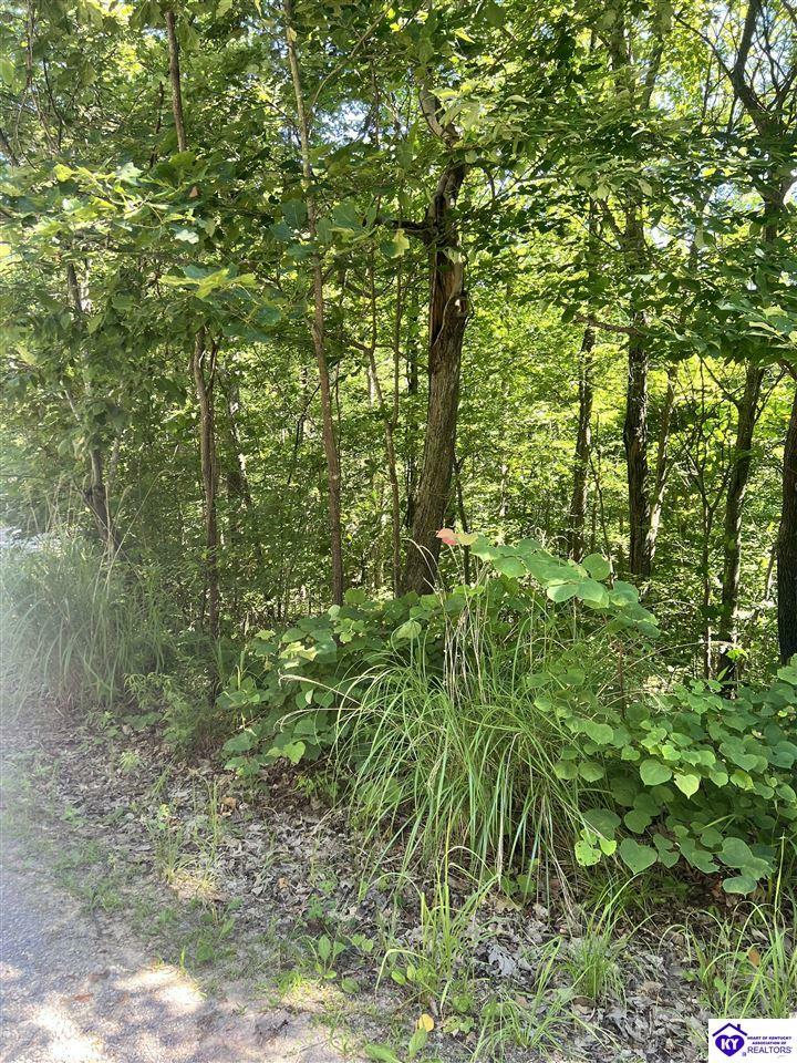 Property Photo:  Lot 756 Chestnut Drive Unit 7  KY 42259 