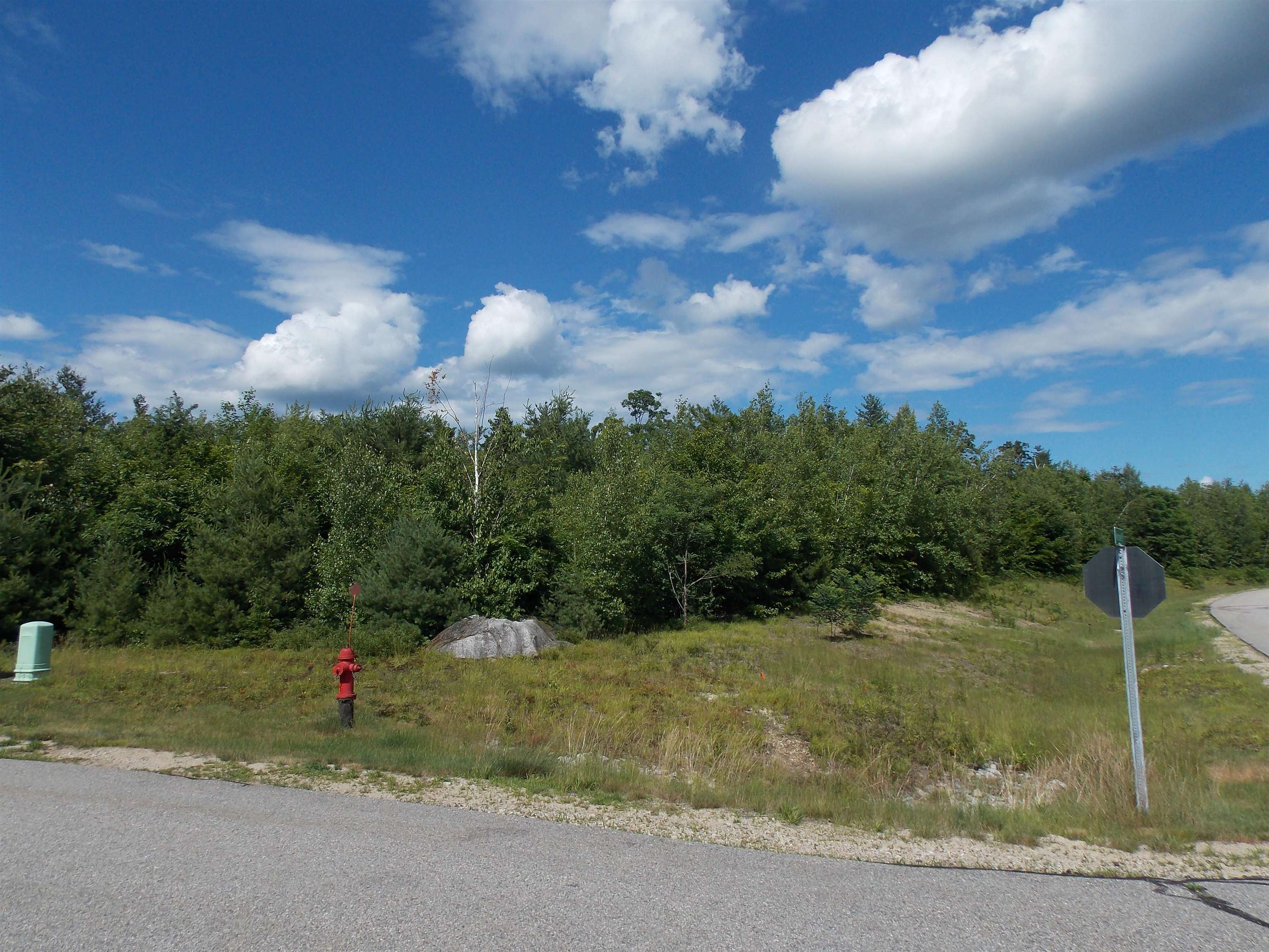 Property Photo:  00 Grandview Road  NH 03818 