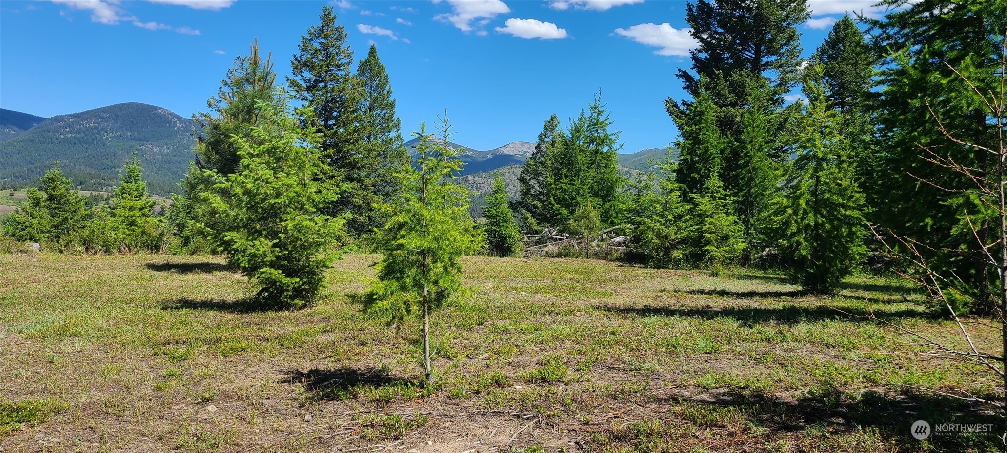 Property Photo:  0 Lot 1 Old Kettle Falls Road  WA 99166 