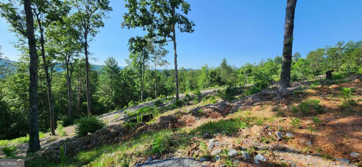 Property Photo:  Lot 18 Mountain Laurel Ridge  GA 30559 