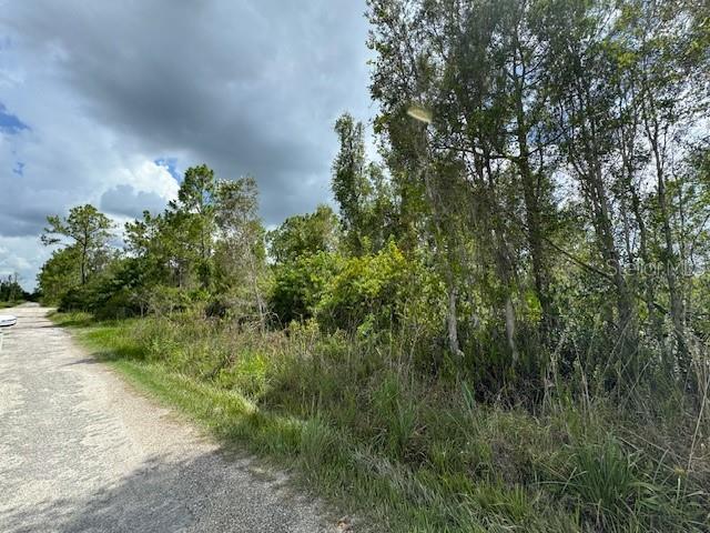 Property Photo: 29460 Clara Drive FL 33982