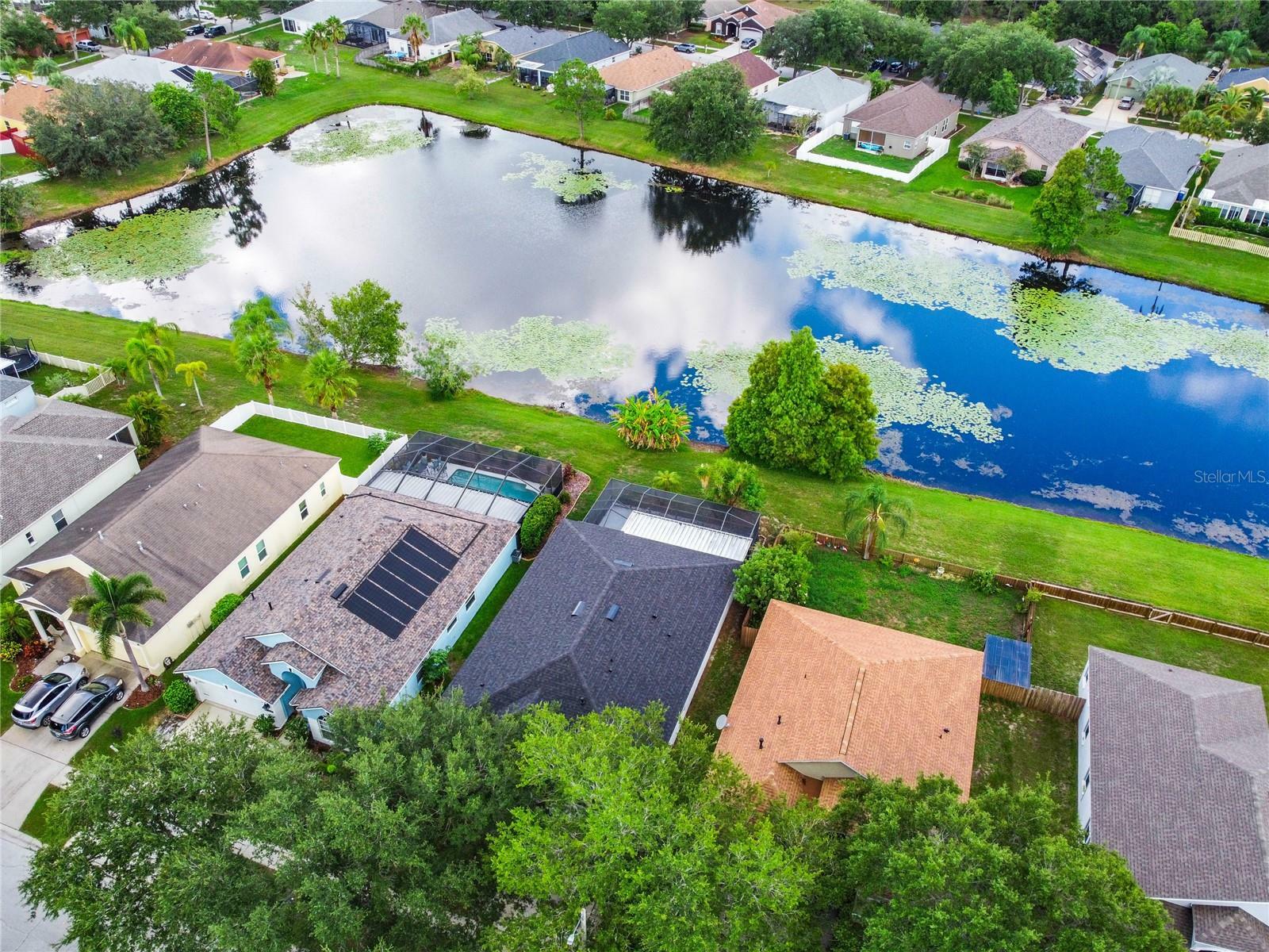 Property Photo:  6803 Monarch Park Drive  FL 33572 