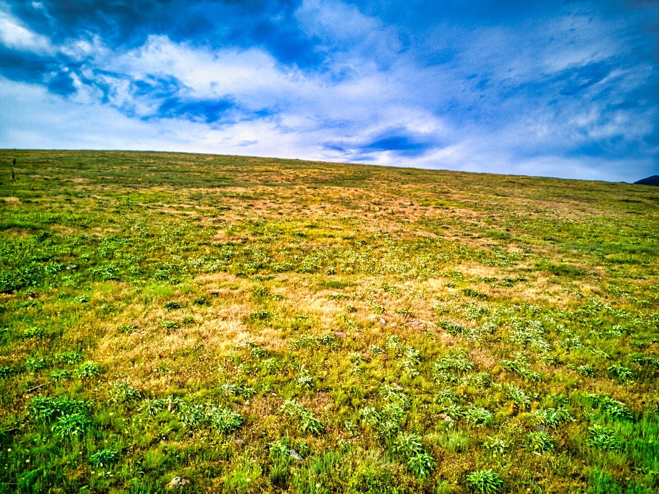 Property Photo: Nhn Sweet Pea Way MT 59808