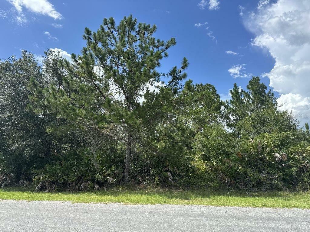 Property Photo:  Lot 33 Somerset Street  FL 32833 