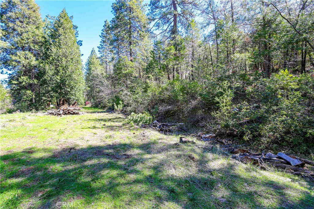 Property Photo:  4610 E Highway 4  CA 95247 