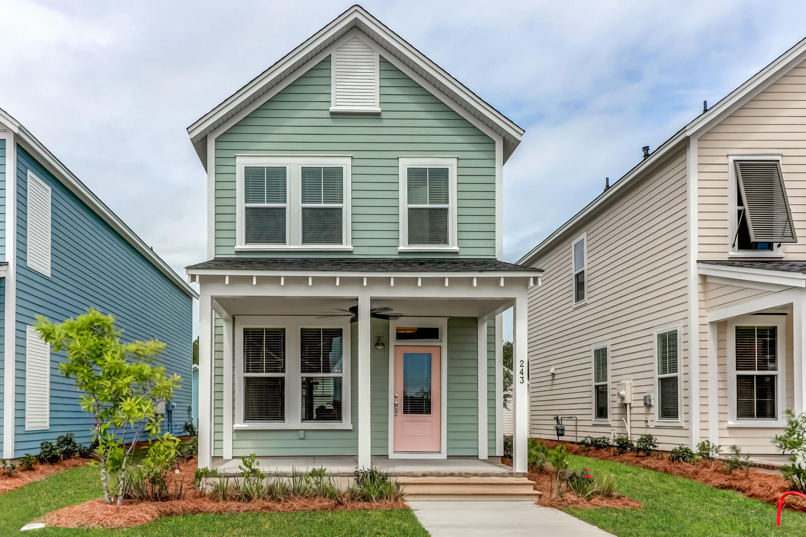 Property Photo:  243 Symphony Avenue  SC 29486 