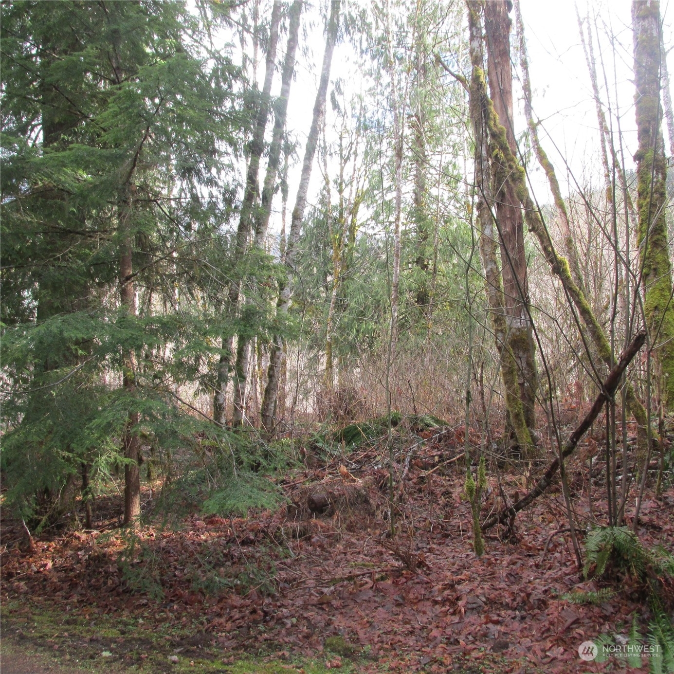 Property Photo:  10333 Glacier Rim Drive  WA 98244 