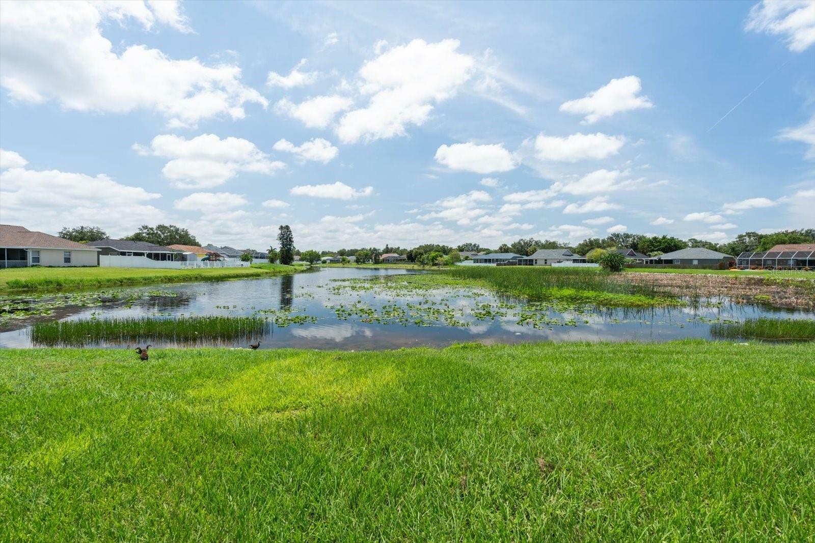 Property Photo:  4042 Kingsfield Drive  FL 34219 