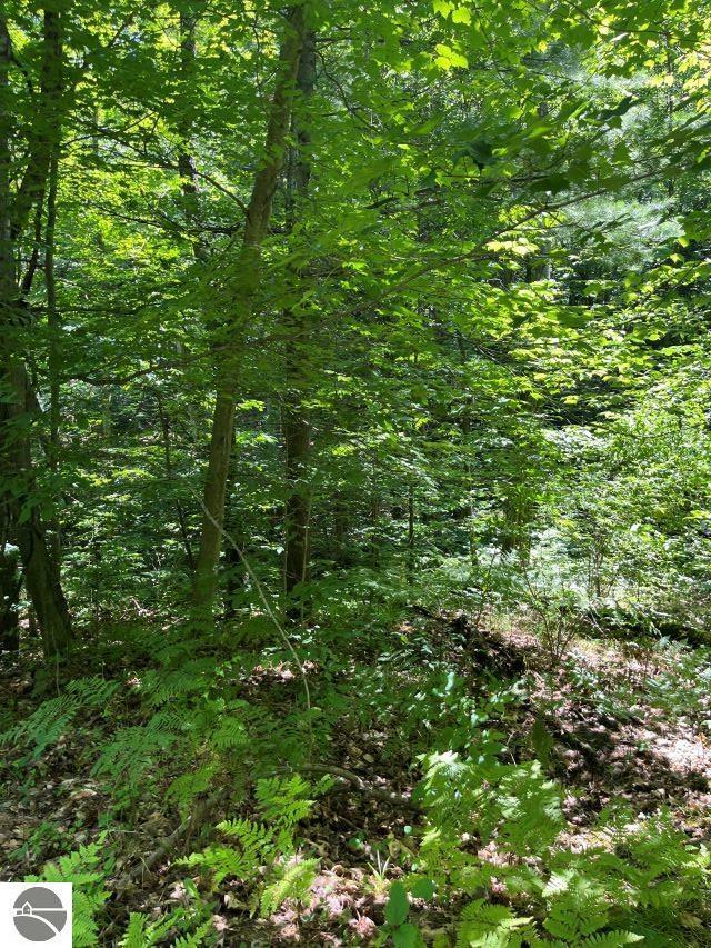 Property Photo:  211 Logging Trail  MI 49655 