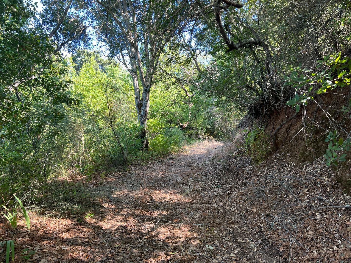 Property Photo:  16480 Wood Acres Road  CA 95030 